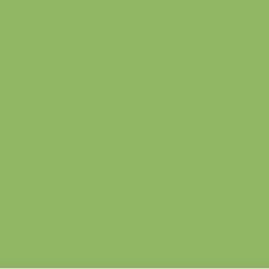 Pantone’s Color of the Year Reflects Hopefulness and Connection to Nature