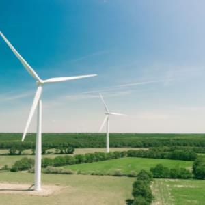 World Environment Day: Global institutions call for a global green recovery