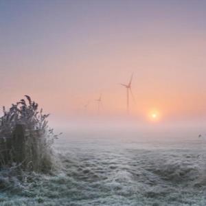 United Nations: International Day of Clean Air for blue skies 7 September