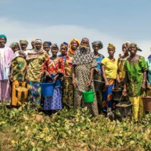 EIF and UNDP to strengthen cooperation for sustainable finance