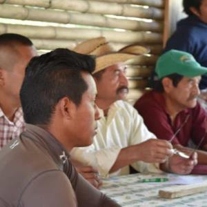 PassBlue: A Global Forest Treaty Is Needed Now