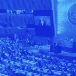 UNITED NATIONS - The Summit of the Future in 2024