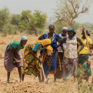 Land regeneration and CO₂ sequestration by active communities in the Sahel.