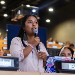 Opinion: UN