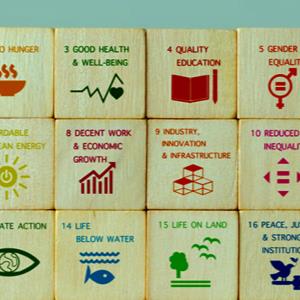 Maximizing Progress on the 2030 Agenda: Building on SDG Interlinkages