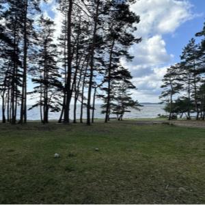 Between/Worlds: Resonant Ecologies