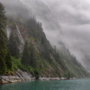 Boreal forests: A great unknown despite being the second lung of the planet