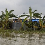 OECD Report Calls for More Synergistic Responses to Triple Planetary Crisis