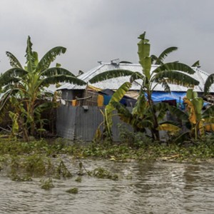 OECD Report Calls for More Synergistic Responses to Triple Planetary Crisis