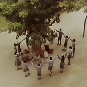 The Other Tree of Guernica - e-flux Education